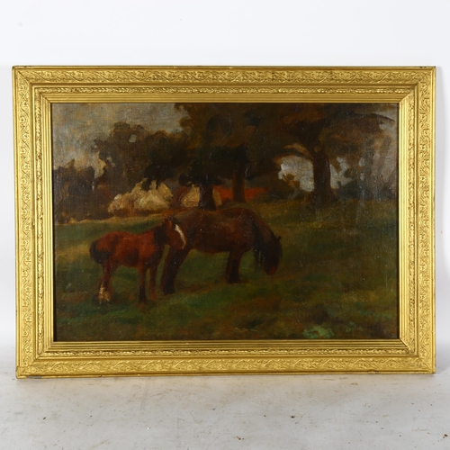 2870 - Countess Helena Gleichen (1873 - 1947), oil on canvas, study of a mare and colt, signed with monogra... 