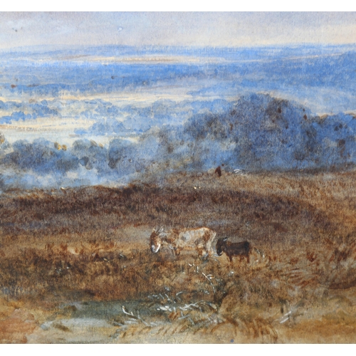 315 - 19th century English School, extensive landscape view with donkeys, watercolour, unsigned, 25cm x 45... 