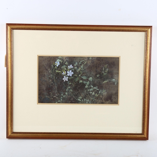 331 - Ann Mumford, periwinkle, signed, 15cm x 27cm, framed