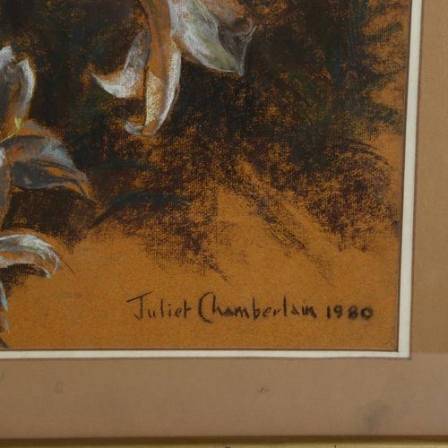 353 - Juliet Chamberlain, wayward lilies, coloured pastels, signed and dated 1980, Exhibition label verso,... 