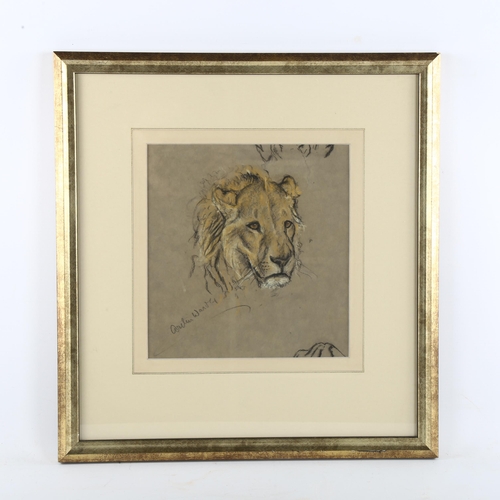 369 - Arthur Wardle (1864 - 1949), lion, pastel/charcoal on paper, signed, 22cm x 21cm, framed