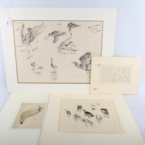 374 - 4 sheets of ornithological drawings, pencil and watercolour, by Randolph Caldecott, John Wadsworth, ... 