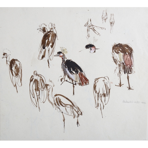 374 - 4 sheets of ornithological drawings, pencil and watercolour, by Randolph Caldecott, John Wadsworth, ... 