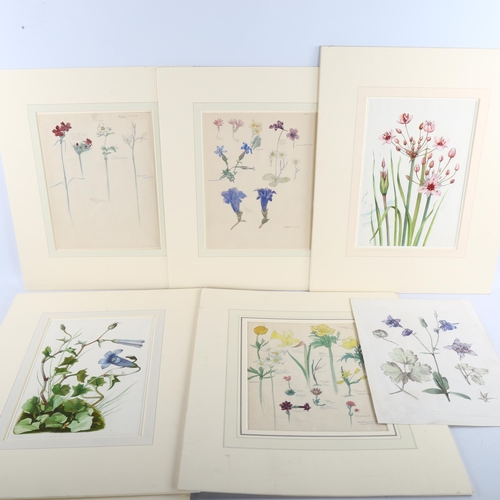 379 - Noel Rooke, 8 detailed botanical studies, watercolour on paper with annotations, mounted (8)