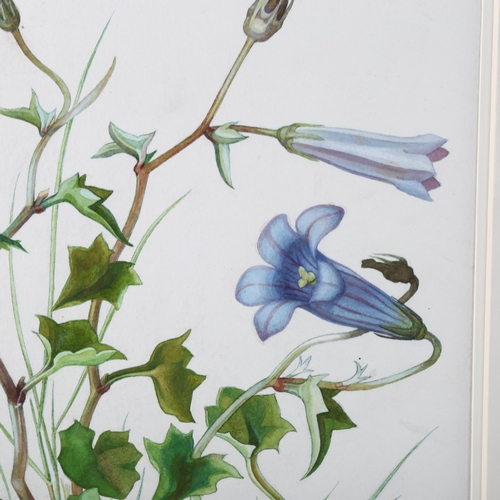 379 - Noel Rooke, 8 detailed botanical studies, watercolour on paper with annotations, mounted (8)