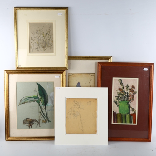 381 - A group of 5 detailed botanical studies, watercolour and pencil on paper, various artists, including... 