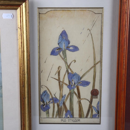 381 - A group of 5 detailed botanical studies, watercolour and pencil on paper, various artists, including... 