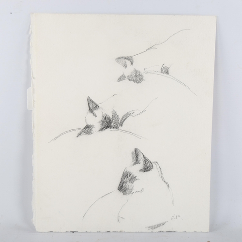 382 - Sketches of 3 Siamese cats, pencil on papers, signed with monogram, 38cm x 32cm, unframed