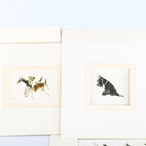 398 - Irena Makoveeva, group of 7 small coloured etchings, studies of dogs, mounted (7)