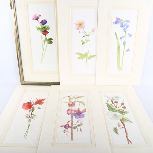 399 - Jane Edmonds, a group of 6 watercolour botanical studies, 37cm x 14cm (5 mounted + 1 framed)