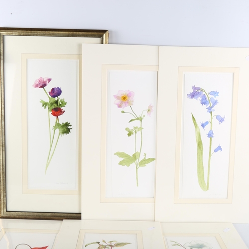 399 - Jane Edmonds, a group of 6 watercolour botanical studies, 37cm x 14cm (5 mounted + 1 framed)