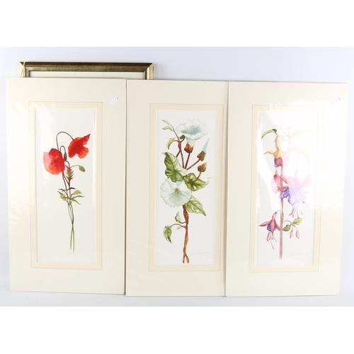 399 - Jane Edmonds, a group of 6 watercolour botanical studies, 37cm x 14cm (5 mounted + 1 framed)