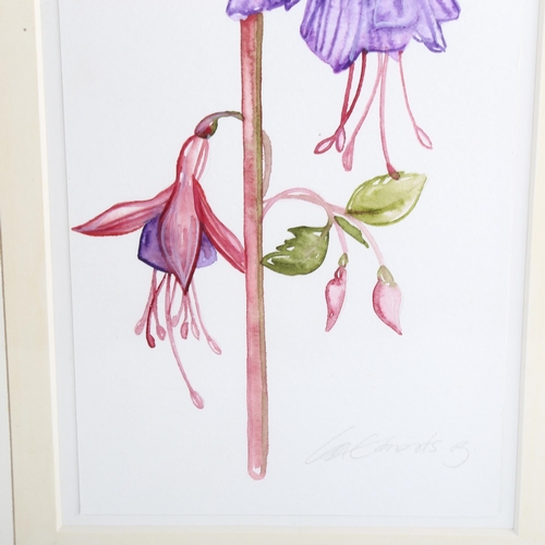 399 - Jane Edmonds, a group of 6 watercolour botanical studies, 37cm x 14cm (5 mounted + 1 framed)