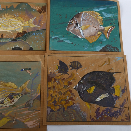 405 - 3 watercolours, studies of tropical fish, circa 1930s, indistinctly signed, image 17cm x 25cm, toget... 