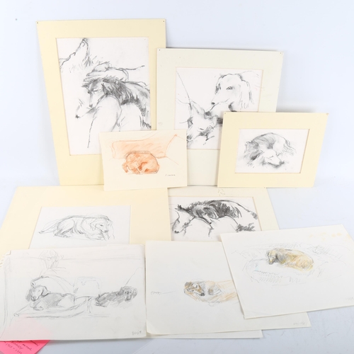 409 - A group of 11 drawings, watercolours and sketches of dogs, including works by Audrey Lanceman and Hu... 