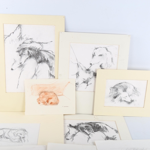 409 - A group of 11 drawings, watercolours and sketches of dogs, including works by Audrey Lanceman and Hu... 