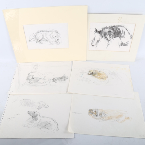 409 - A group of 11 drawings, watercolours and sketches of dogs, including works by Audrey Lanceman and Hu... 