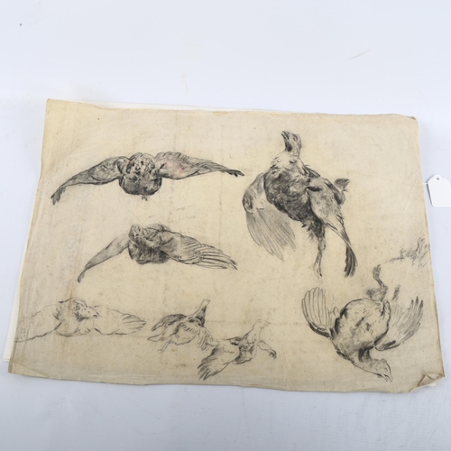 417 - A sheet of 19th/20th century charcoal/pencil sketches of game birds, unsigned, 37cm x 52cm, unframed