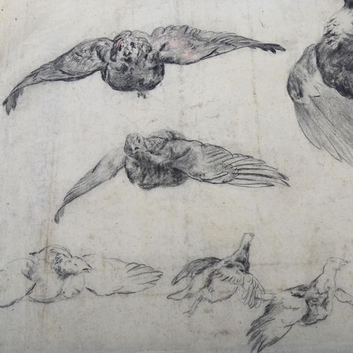 417 - A sheet of 19th/20th century charcoal/pencil sketches of game birds, unsigned, 37cm x 52cm, unframed