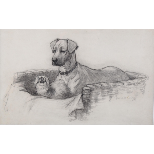 419 - Christopher Gifford Ambler (1886 - 1965), between the great paws, pencil and wash, signed, 19cm x 30... 