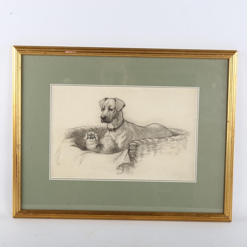 419 - Christopher Gifford Ambler (1886 - 1965), between the great paws, pencil and wash, signed, 19cm x 30... 