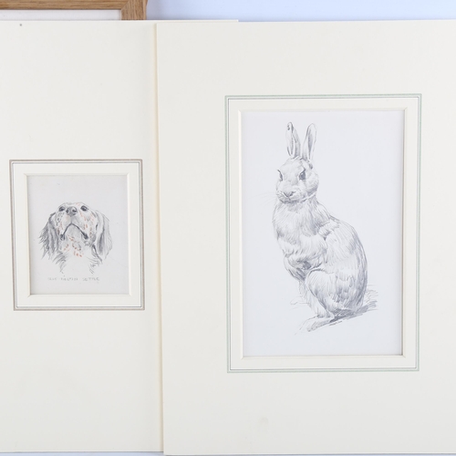 451 - Raymond Sheppard, 5 various animal studies, pencil/charcoal on paper, 2 framed + 3 mounted