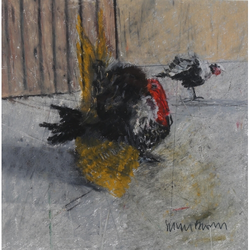 453 - Susan Brown, poultry, oil/gouache on card, signed, 25cm x 25cm, framed