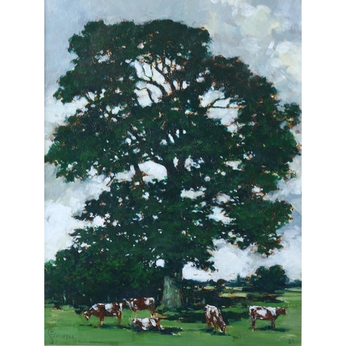 489 - Paul Gaisford, oil on board, cattle under an oak tree, signed, 8