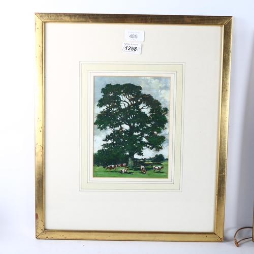 489 - Paul Gaisford, oil on board, cattle under an oak tree, signed, 8