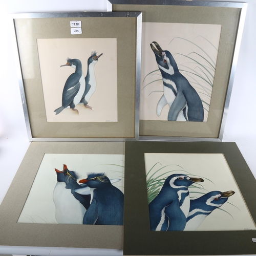 495 - 3 watercolour studies of penguins, indistinctly signed, dated 1969, 38cm x 32cm, 2 framed + 1 unfram... 