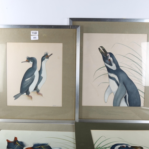 495 - 3 watercolour studies of penguins, indistinctly signed, dated 1969, 38cm x 32cm, 2 framed + 1 unfram... 