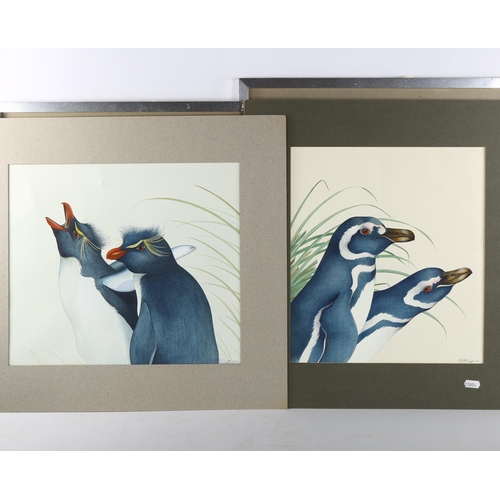 495 - 3 watercolour studies of penguins, indistinctly signed, dated 1969, 38cm x 32cm, 2 framed + 1 unfram... 