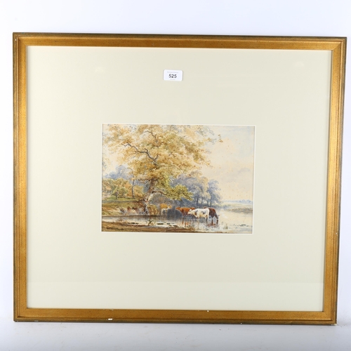 525 - 19th century English School, cattle wading in a river, watercolour, unsigned, 22cm x 32cm, framed