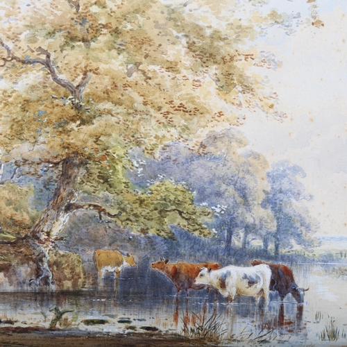 525 - 19th century English School, cattle wading in a river, watercolour, unsigned, 22cm x 32cm, framed