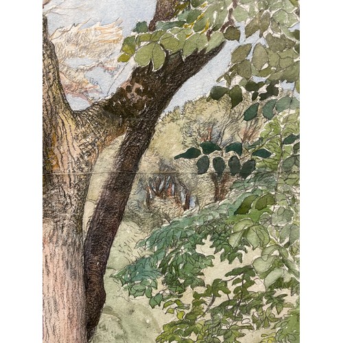 118 - Eleanor Hughes RI (1882 - 1959), trees beside a wall, watercolour, 47cm x 36cm, framed