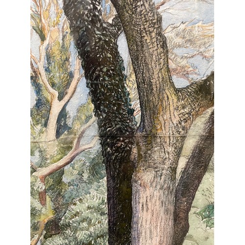 118 - Eleanor Hughes RI (1882 - 1959), trees beside a wall, watercolour, 47cm x 36cm, framed