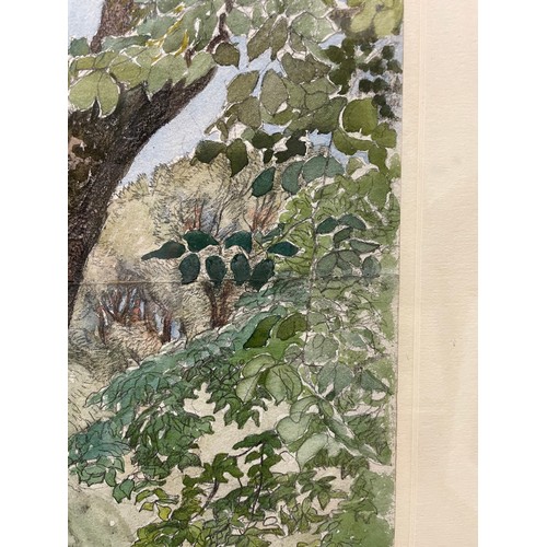 118 - Eleanor Hughes RI (1882 - 1959), trees beside a wall, watercolour, 47cm x 36cm, framed