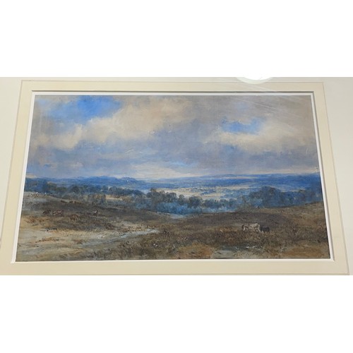 315 - 19th century English School, extensive landscape view with donkeys, watercolour, unsigned, 25cm x 45... 