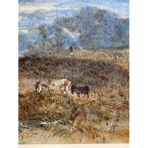 315 - 19th century English School, extensive landscape view with donkeys, watercolour, unsigned, 25cm x 45... 