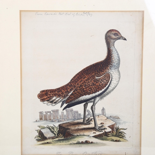 367 - A pair of 18th century prints from Edwards 