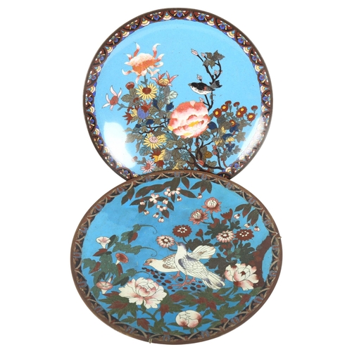 621 - 2 similar cloisonne shallow dishes, with bird and blossom decoration on blue ground, 30cm