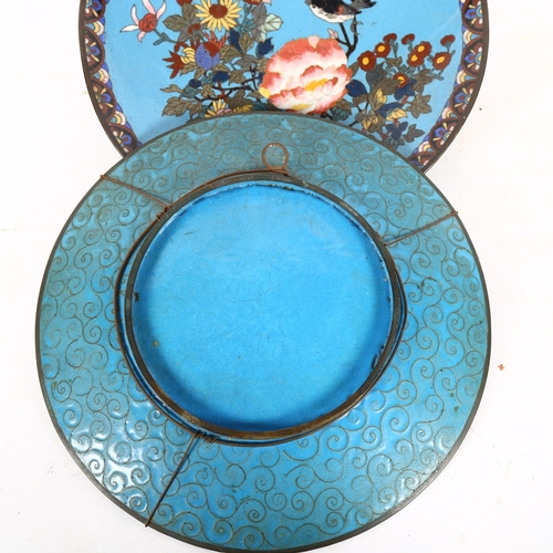 621 - 2 similar cloisonne shallow dishes, with bird and blossom decoration on blue ground, 30cm