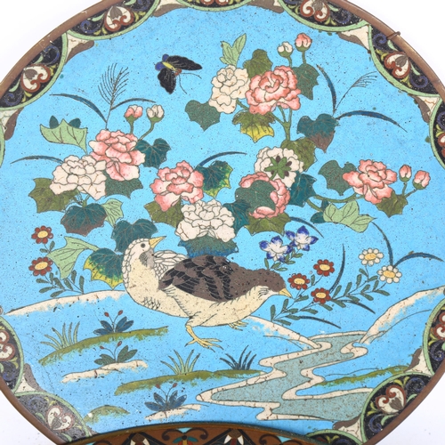 622 - 2 similar cloisonne blue ground shallow dishes, with designs of birds and blossom, 30cm