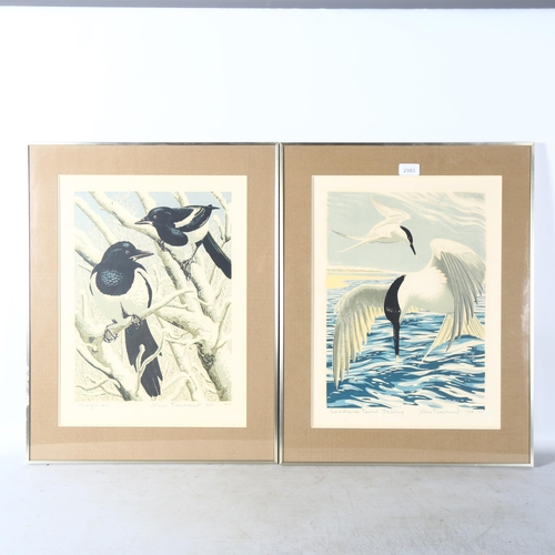 2903 - John Tennent, 2 limited edition prints, Sandwich terns fishing, 59/60, signed and dated 1970, and Ma... 