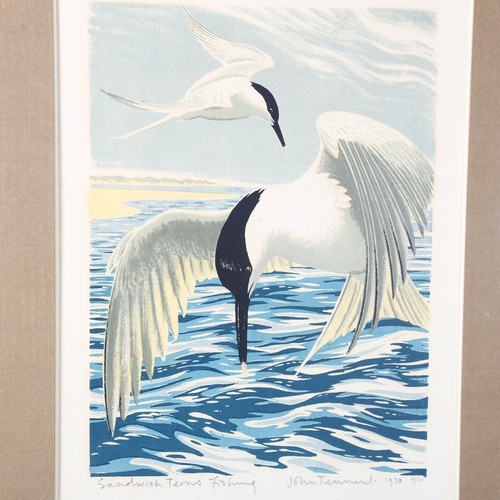 2903 - John Tennent, 2 limited edition prints, Sandwich terns fishing, 59/60, signed and dated 1970, and Ma... 