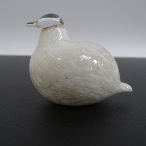 663 - OIVA TOIKKA - a Nuutajarvi glass bird sculpture of a Willow Grouse, H10cm, L13cm, and a smaller Nuut... 