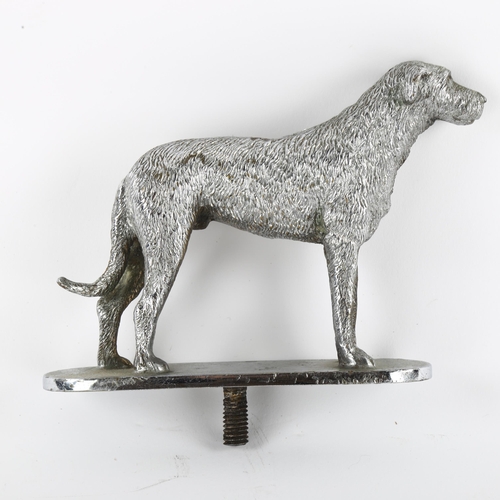 165 - A Vintage wolfhound plated bronze car mascot, height of wolfhound 11cm