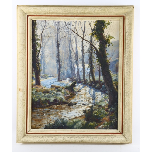 507 - Denys Law (1907 - 1981), springtime in the valley (Lamorna stream Cornwall), oil on board, signed wi... 