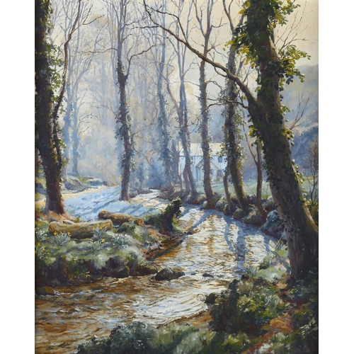 507 - Denys Law (1907 - 1981), springtime in the valley (Lamorna stream Cornwall), oil on board, signed wi... 