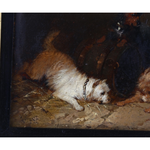 565 - George Armfield (1808 - 1893), Terriers ratting, oil on board, indistinctly signed, 13.5cm x 17cm, f... 